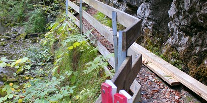 Ausflug mit Kindern - Vorarlberg - Ein neuer Weg führt nach dem Felssturz von 2011 überhalb der Schlucht - Rappenlochschlucht & Alplochschlucht