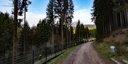 Ausflug mit Kindern - Schwarzwald - Alternativer Wolf- und Bärenpark