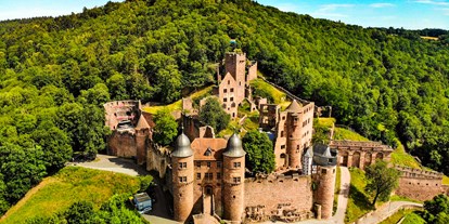 Ausflug mit Kindern - sehenswerter Ort: Burg - Burg Wertheim