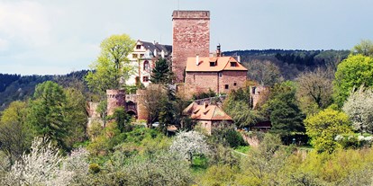Ausflug mit Kindern - Würzburg - Burg und Burgpark Gamburg ob der Tauber