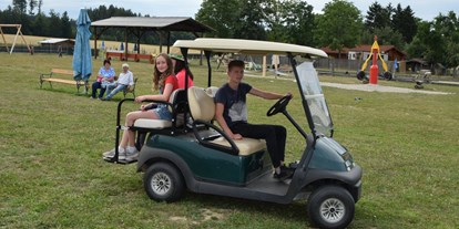Ausflug mit Kindern - Gmünd (Gmünd) - Elektro-Golf-Kart - Kinderparadies Wirtshaus zur Minidampfbahn