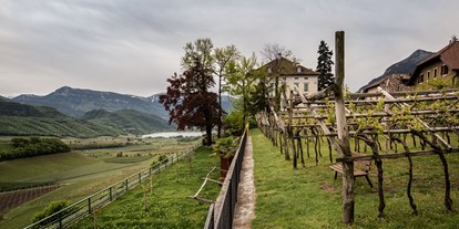 Ausflug mit Kindern - Trentino-Südtirol - Foto: Gerd Eder

Unser Weingarten im Frühling - mit Blick auf den Kalterersee - Südtiroler Weinmuseum