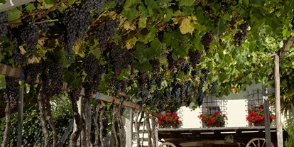 Ausflug mit Kindern - Trentino-Südtirol - Südtiroler Weinmuseum