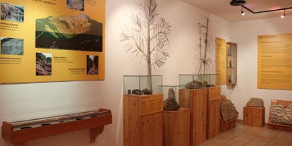 Ausflug mit Kindern - Trentino-Südtirol - Ausstellung im GEOMuseum Radein. - GEOMuseum Radein