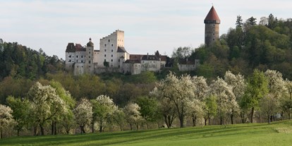 Ausflug mit Kindern - Oberösterreich - Führungen auf Burg Clam