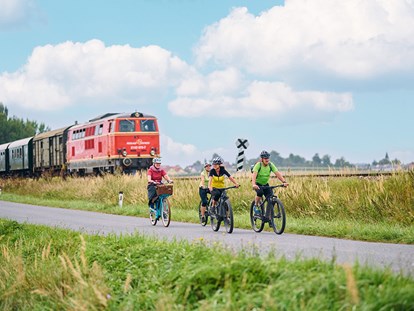 Ausflug mit Kindern - Niederösterreich - Verbinden Sie eine Bahnfahrt mit einer Radtour - Bahnerlebnis Reblaus Express