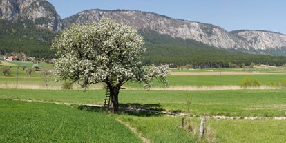 Ausflug mit Kindern - Wiener Alpen - Natur pur - Mohr-Sederl Fruchtwelt