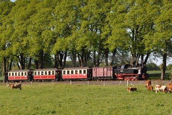 Ausflugsziel: Mecklenburgische Bäderbahn Molli