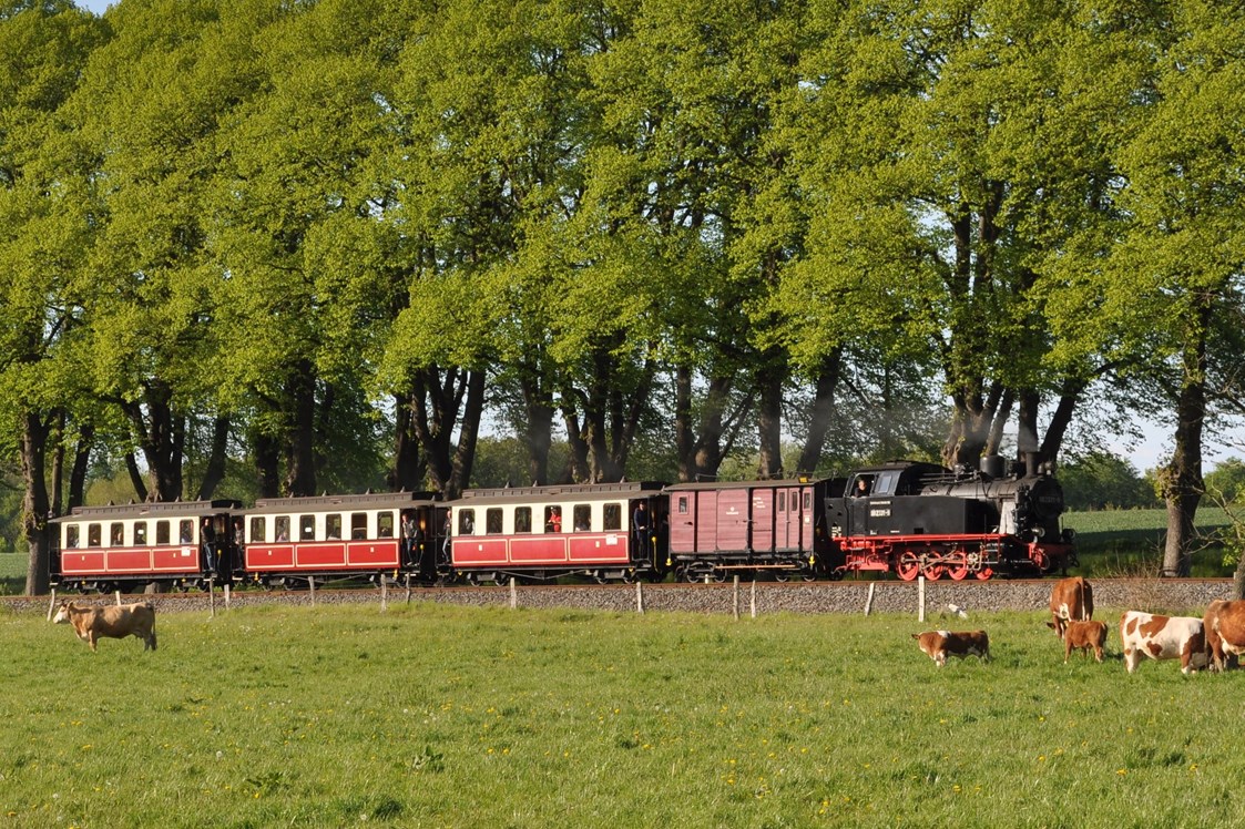 Ausflugsziel: Mecklenburgische Bäderbahn Molli
