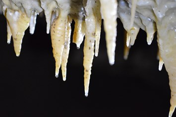 Ausflugsziel: Faszinierende Tropfsteine in der Drachenhöhle - Drachenhöhle Syrau