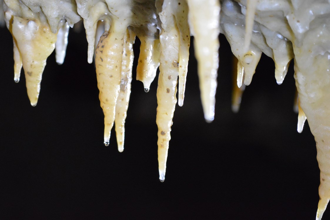 Ausflugsziel: Faszinierende Tropfsteine in der Drachenhöhle - Drachenhöhle Syrau