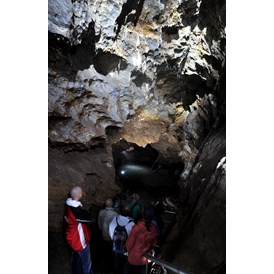 Ausflugsziel: Faszinierende Beleuchtung bringt die Besonderheiten der Höhlen zur Geltung - Drachenhöhle Syrau