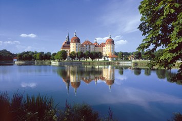 Ausflugsziel: Schloss Moritzburg
