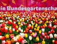 Ausflugsziel: Tulpenfelder - Bundesgartenschau Erfurt 2021