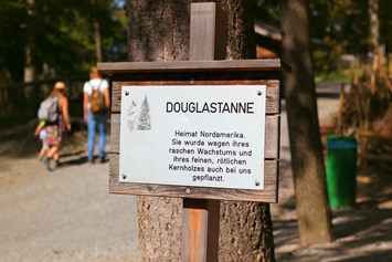 Ausflugsziel: Zahlreiche Schilder bei Bäumen und Sträuchern verraten etwas über die Flora im Wildpark - Wildpark Feldkirch