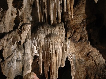 Hermannshöhle Highlights beim Ausflugsziel Fledermäuse