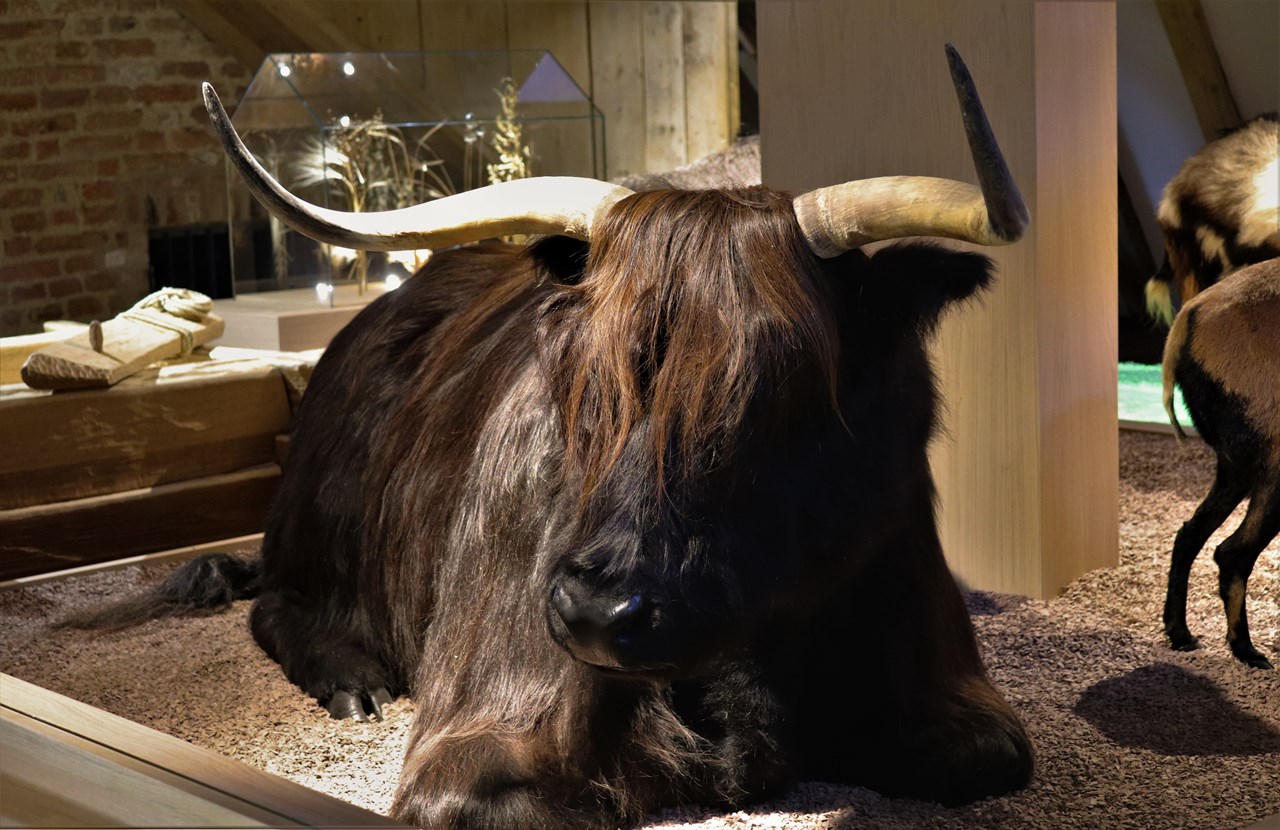 Kastenhof Landau Highlights beim Ausflugsziel Figuren jungsteinzeitlicher Bauernhof-Tiere
