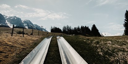 Ausflug mit Kindern - Kitzbühel - Sommerrodelnbahnen im Freizeitpark Zahmer Kaiser Walchsee/Tirol - Sommerrodelbahn Walchsee