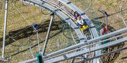 Ausflug mit Kindern - Zillertal - Arena Coaster