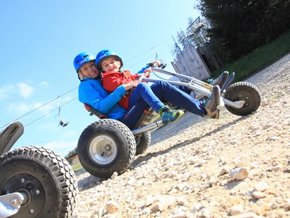 Ausflug mit Kindern - Hochsteiermark - Rasant geht es mit dem Mountain-Kart ins Tal - Der Wilde Berg Mautern