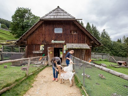 Ausflug mit Kindern - Steiermark - Kinderbauernhof - Der Wilde Berg Mautern