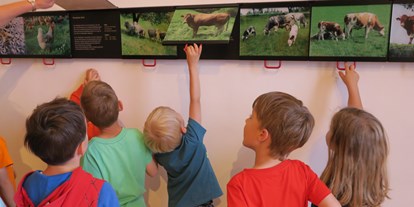 Ausflug mit Kindern - Süd & West Steiermark - Jagdmuseum und Landwirtschaftsmuseum Schloss Stainz