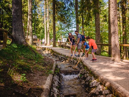 Ausflug mit Kindern - Steiermark - Holzknechtland & Biberwasser & WALD8erBAHN