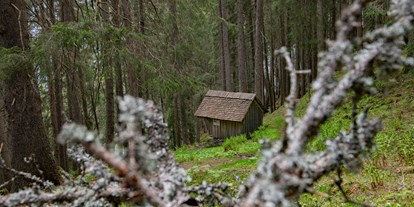Ausflug mit Kindern - Vorarlberg - Das "Bruderhüsli" im Dalaaser Wald am Kristberg im Silbertal, dem Genießerberg im Montafon - Der Sagenwanderweg (Sagenweg) vom Kristberg ins Silbertal