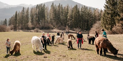Ausflug mit Kindern - Leoben (Leoben) - Alpaka- und Lama-Wanderung - Alpakas und Lamas zum Grünen See