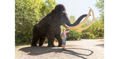 Ausflug mit Kindern - Rheinland-Pfalz - Eiszeit - Dinosaurierpark Teufelsschlucht