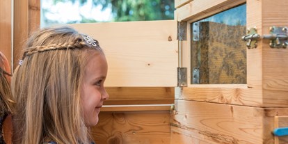 Ausflug mit Kindern - Seeham - Bienenerlebnisweg