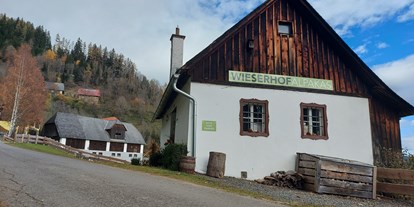 Ausflug mit Kindern - Murtal - Wieserhof - Alpakawanderung im Murtal am Wieserhof - Zeit für die Sinne