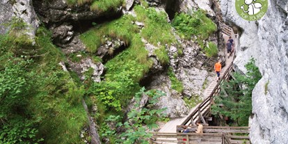 Ausflug mit Kindern - Schladming-Dachstein - Tour 60 aus unserem Wanderbuch Abenteuer Natur Salzkammergut: Woerschachklamm mit Burgruine Wolkenstein - Wörschachklamm und Ruine Wolkenstein