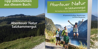 Ausflug mit Kindern - Schladming-Dachstein - Wörschachklamm und Ruine Wolkenstein