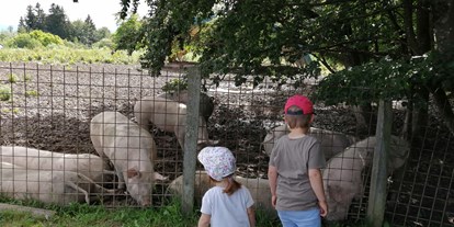 Ausflug mit Kindern - Salzburg - Schweine hautnah  - Schaukelweg Anthering