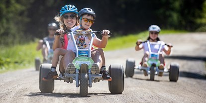 Ausflug mit Kindern - Schladming - Das Mountain Gokart garantiert Spaß für Groß & Klein - Gipfelbahn Hochwurzen