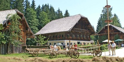 Ausflug mit Kindern - Seekirchen am Wallersee - Salzburger Freilichtmuseum
