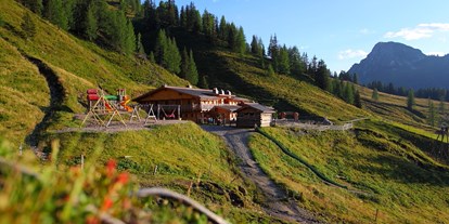 Ausflug mit Kindern - Großarl - Loosbühelalm im Sommer - Loosbühelalm, 1.769 m
