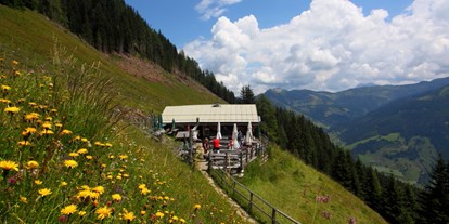 Ausflug mit Kindern - Großarltal - Viehhausalm, 1.640 m - Viehhausalm, 1.640 m