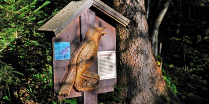 Ausflug mit Kindern - Tirol - Singdrossel Tafel Vogellehrpfad Hart im Zillertal - Vogellehrpfad Hart im Zillertal