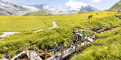 Ausflug mit Kindern - Zillertal - © Archiv TVB Tux-Finkenberg
Gletscherflohsafari wandern - Gletscherflohsafari
