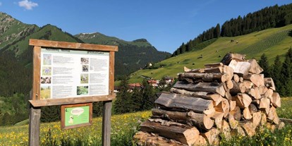 Ausflug mit Kindern - Tirol - Infotafel - Naturerlebnisweg Mitteregg