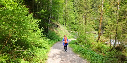 Ausflug mit Kindern - Tennengau - Mühlenweg Scheffau (Herzerlweg)