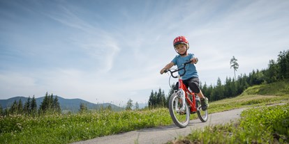 Ausflug mit Kindern - Salzburger Sportwelt - Wanderberg Grießenkar
