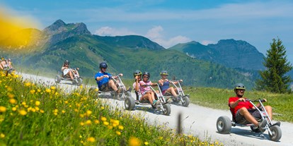 Ausflug mit Kindern - Großarltal - Mountaincart fahren im Großarltal - Mountaincart
