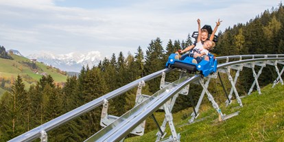 Ausflug mit Kindern - Tirol - Familienpark Drachental Wildschönau Alpine Coaster
© Wildschönau Tourismus - Familienpark Drachental Wildschönau