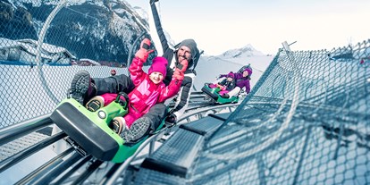 Ausflug mit Kindern - Zell am See-Kaprun - Alpine Coaster Maisi Flitzer - Maisi Flitzer