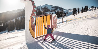 Ausflug mit Kindern - Tirol - Triassic Funline im Skigebiet Steinplatte Waidring / Winklmoosalm  - Triassic Funline 