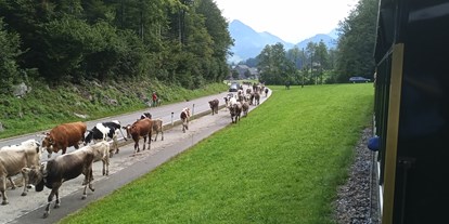 Ausflug mit Kindern - Vorarlberg - Wälderbähnle