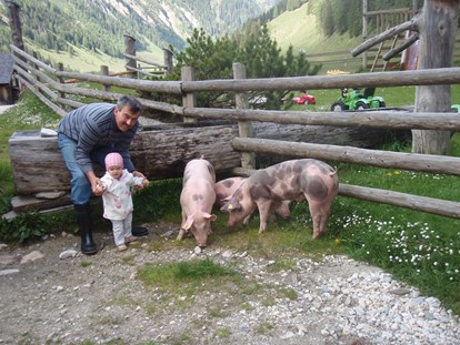 Ausflug mit Kindern - Pinzgau - Palfner Alm Rauris